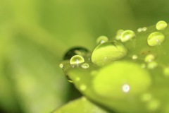 雫
