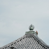 満月寺 浮御堂
