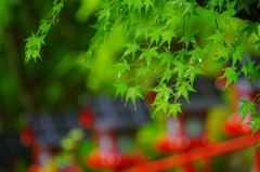 貴船神社
