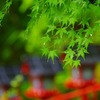 貴船神社