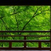 貴船神社