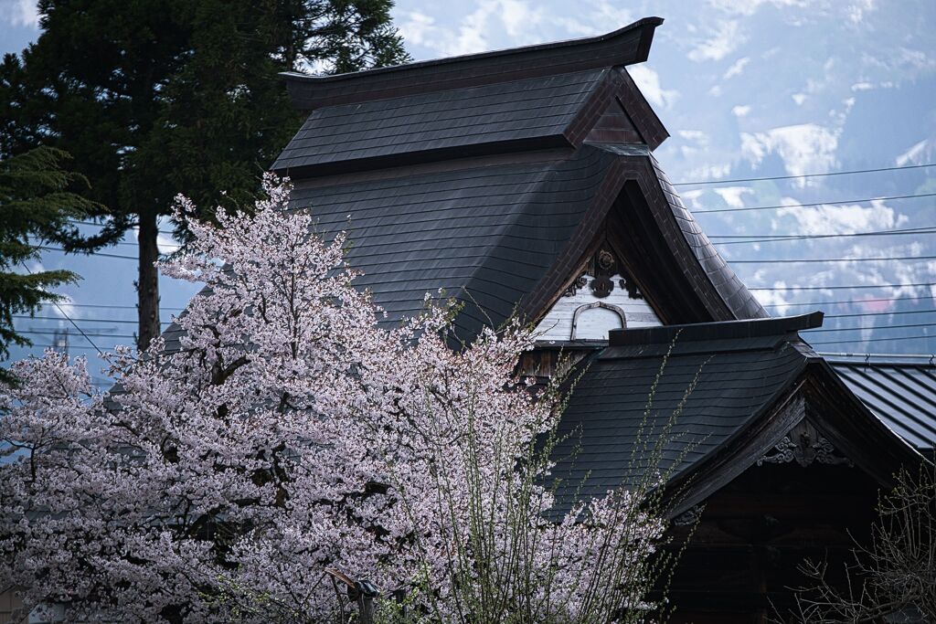 村の神社