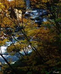 渓流と・・・