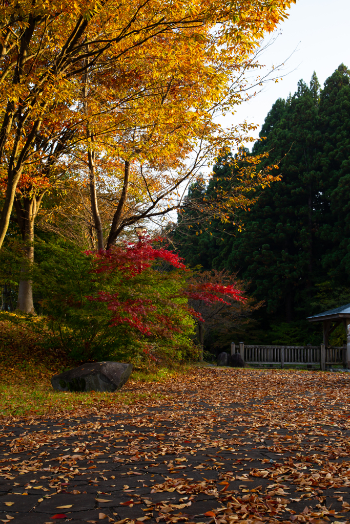 公園の赤