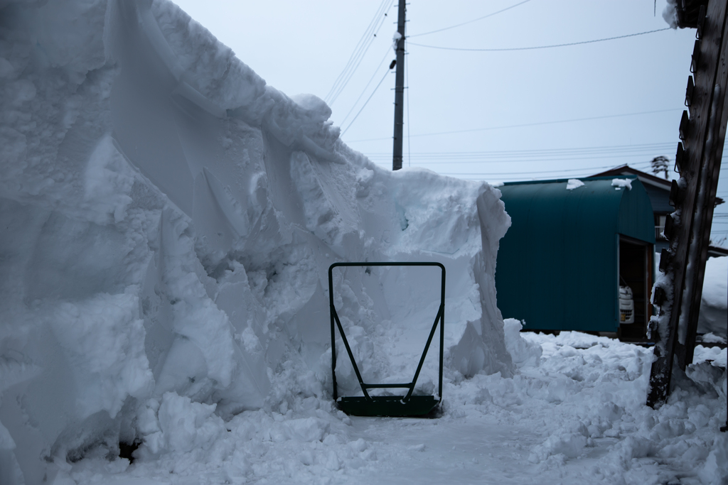 雪の排雪