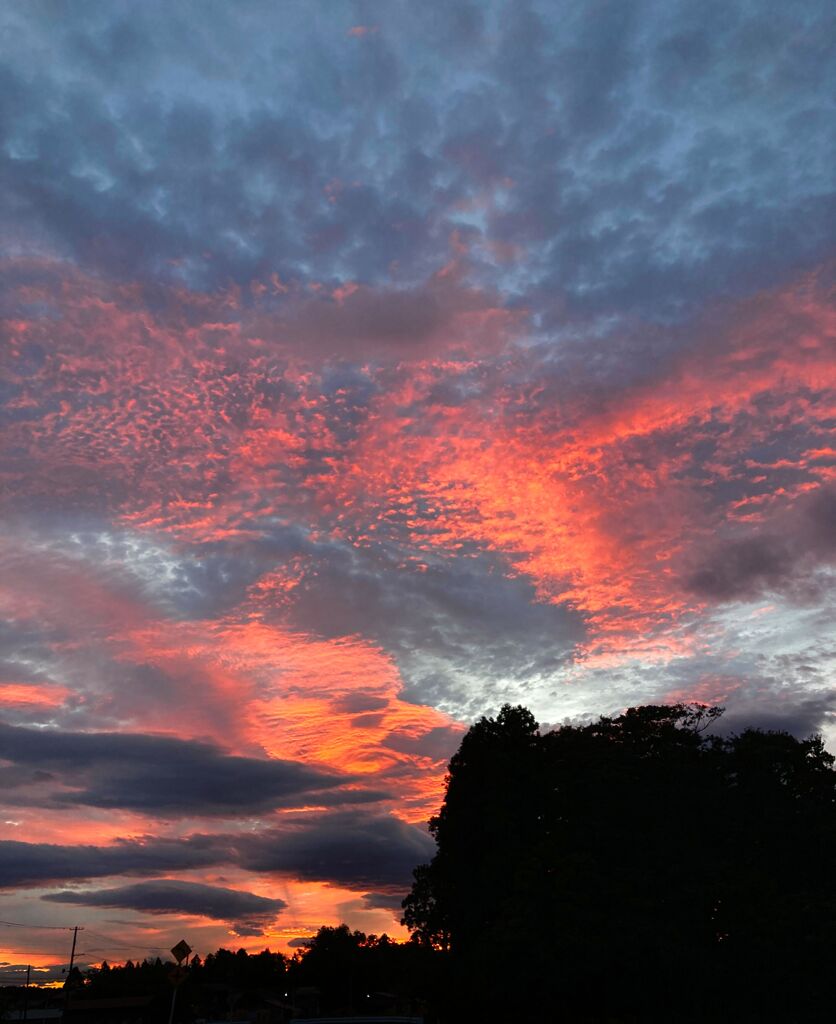 火事みたいな空