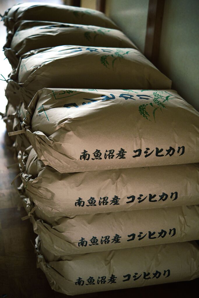 令和7年産 魚沼産コシヒカリ