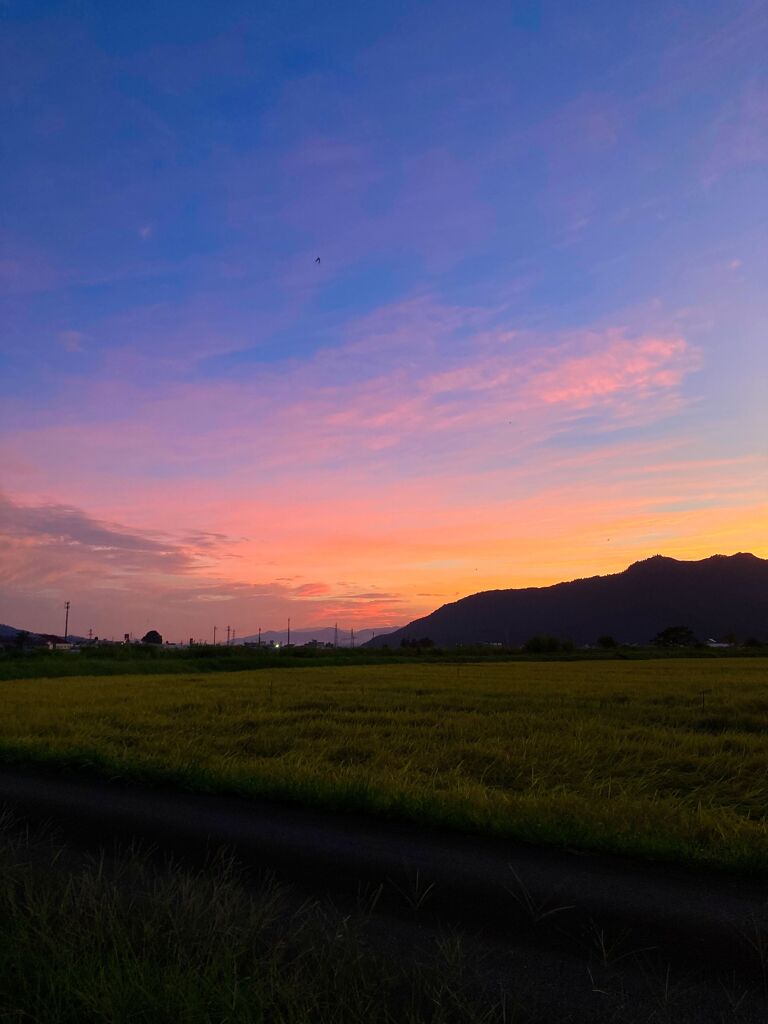 こちらも・・・