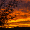 夕焼けシルエット