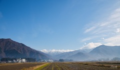 透き通った情景