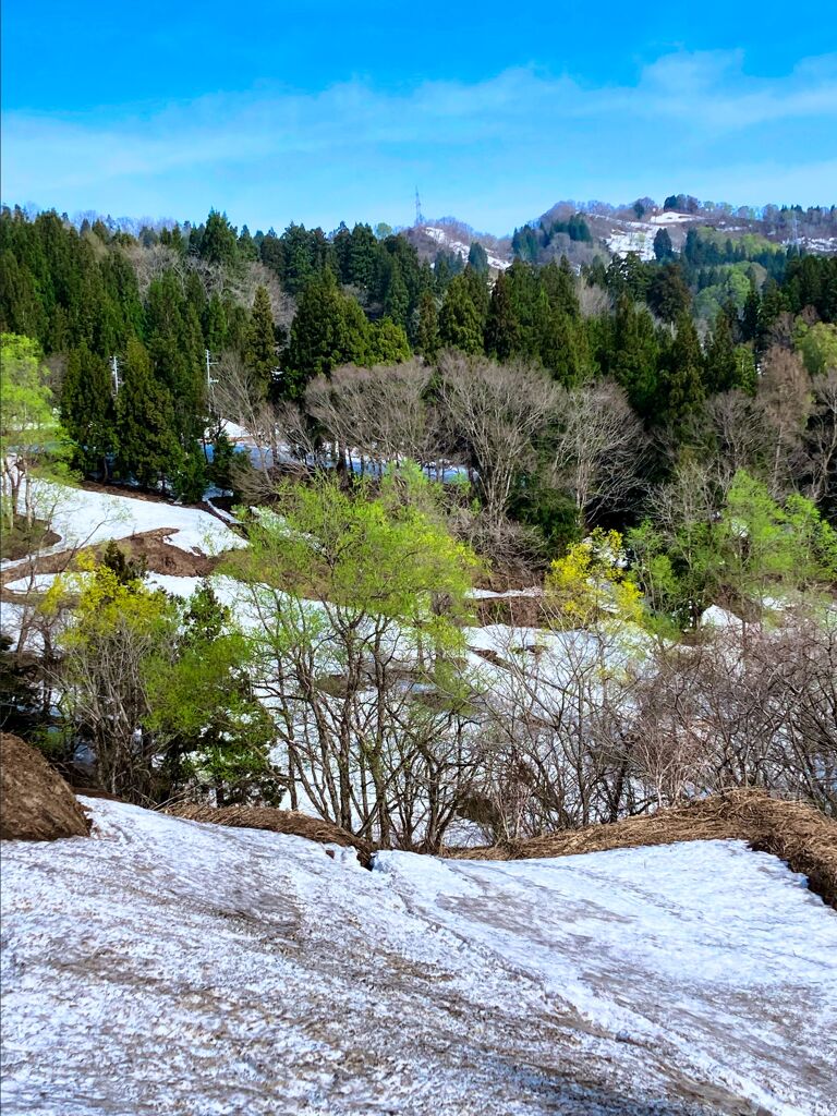 春到来
