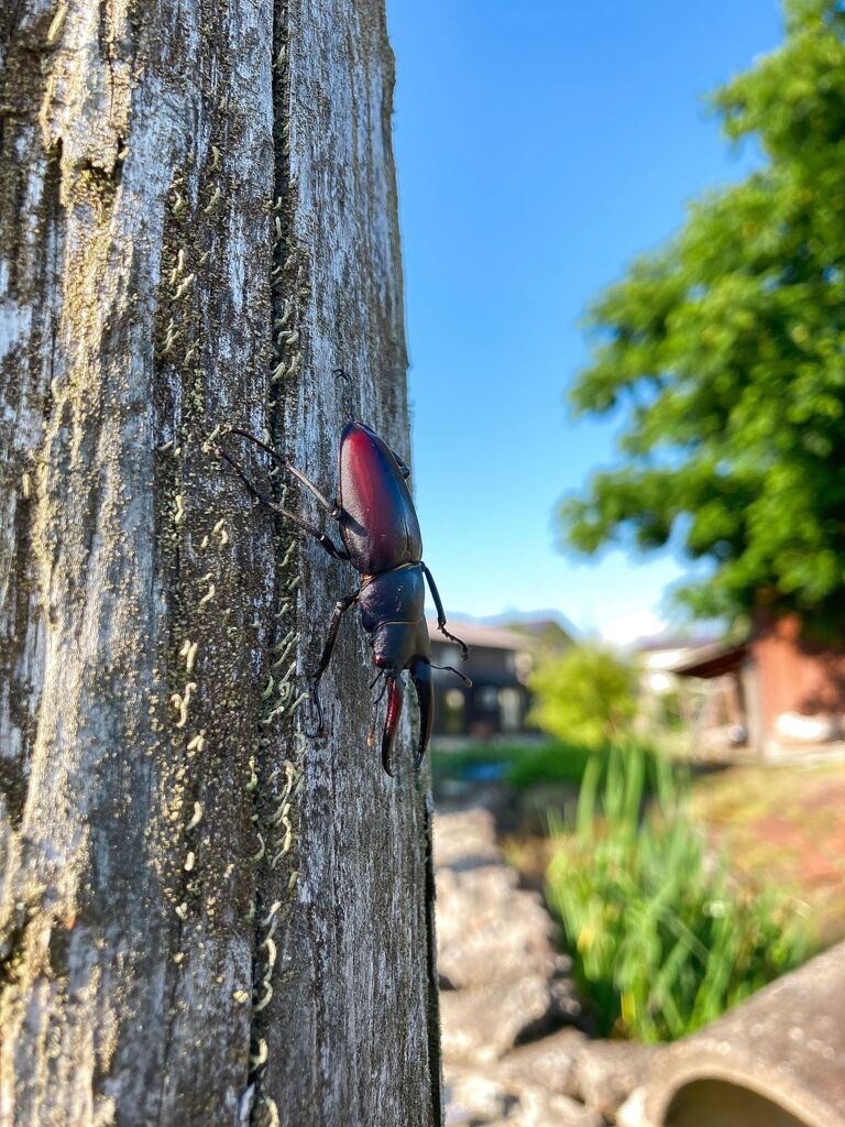 久しぶりだね～