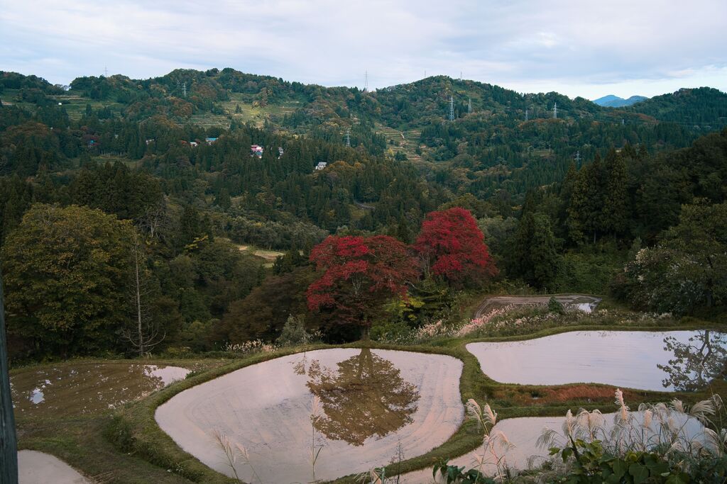 見慣れた風景