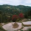 見慣れた風景