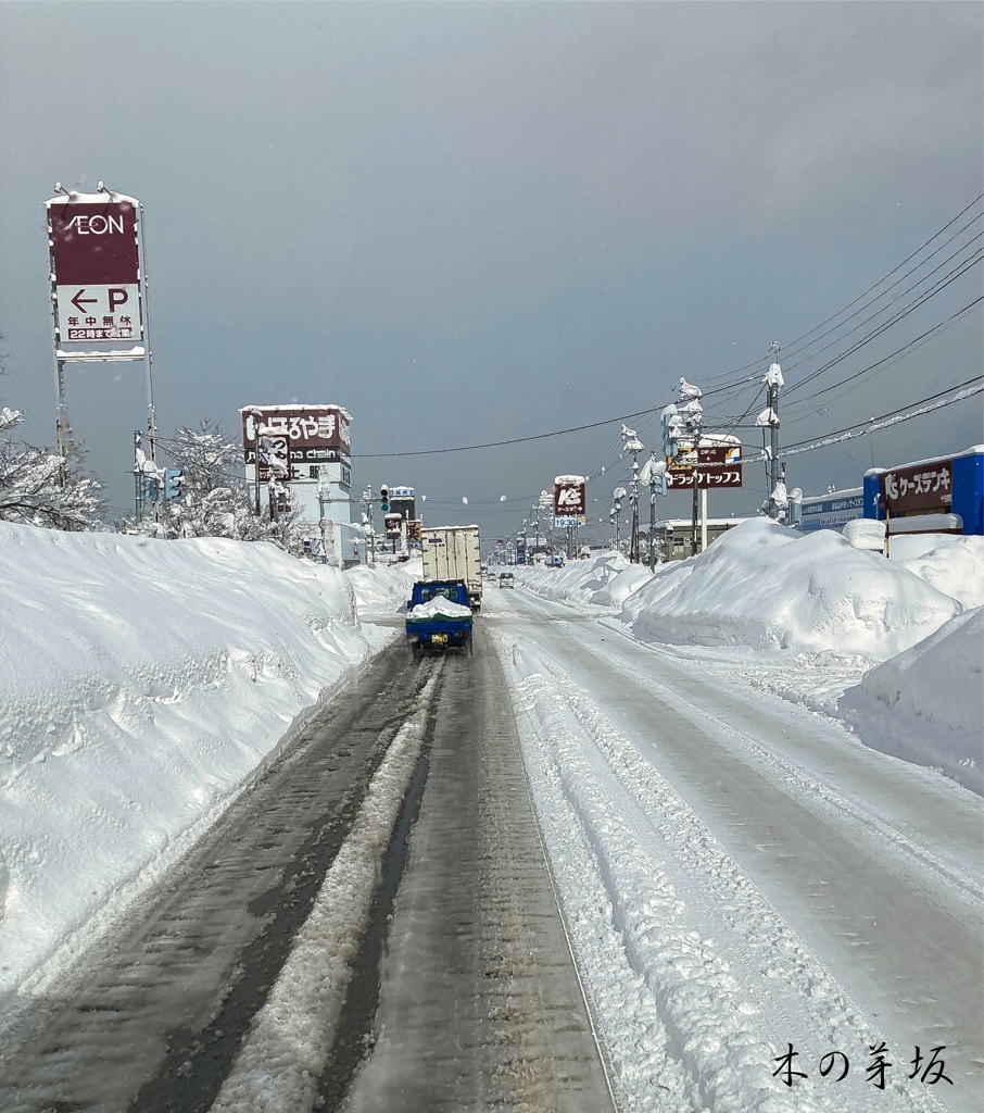 見飽きてきた毎日