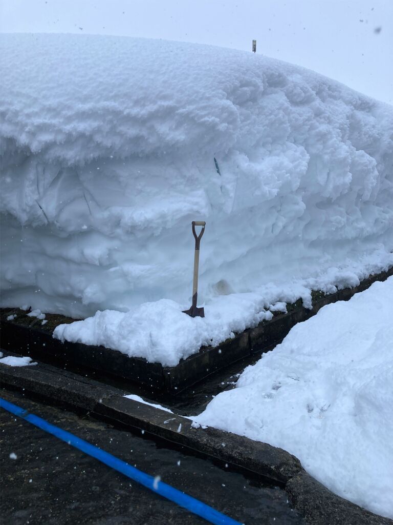 この日まで