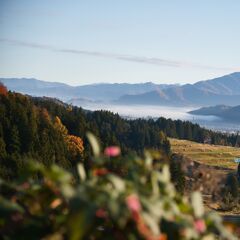 爽やかな始まり