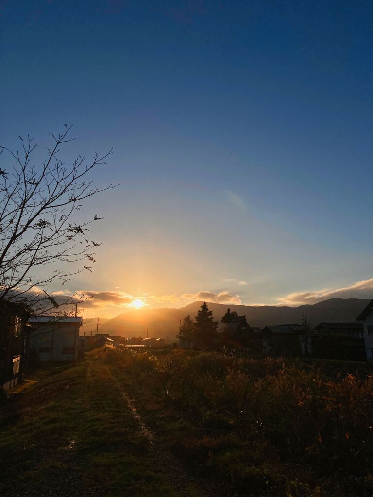 貴重な夕陽