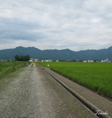 草刈り