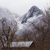 冬山