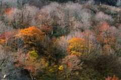山肌