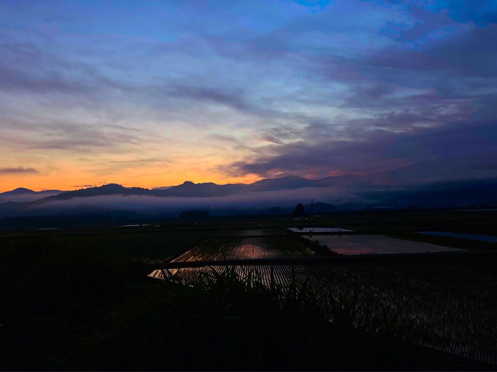 長閑な風景