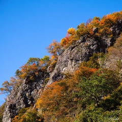 岩肌紅葉