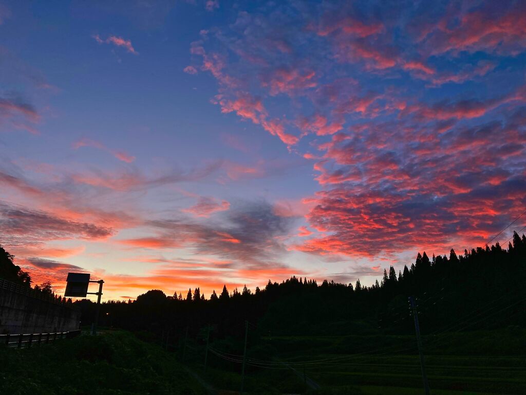 染まる空