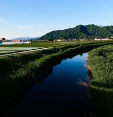 気持ち晴れやか