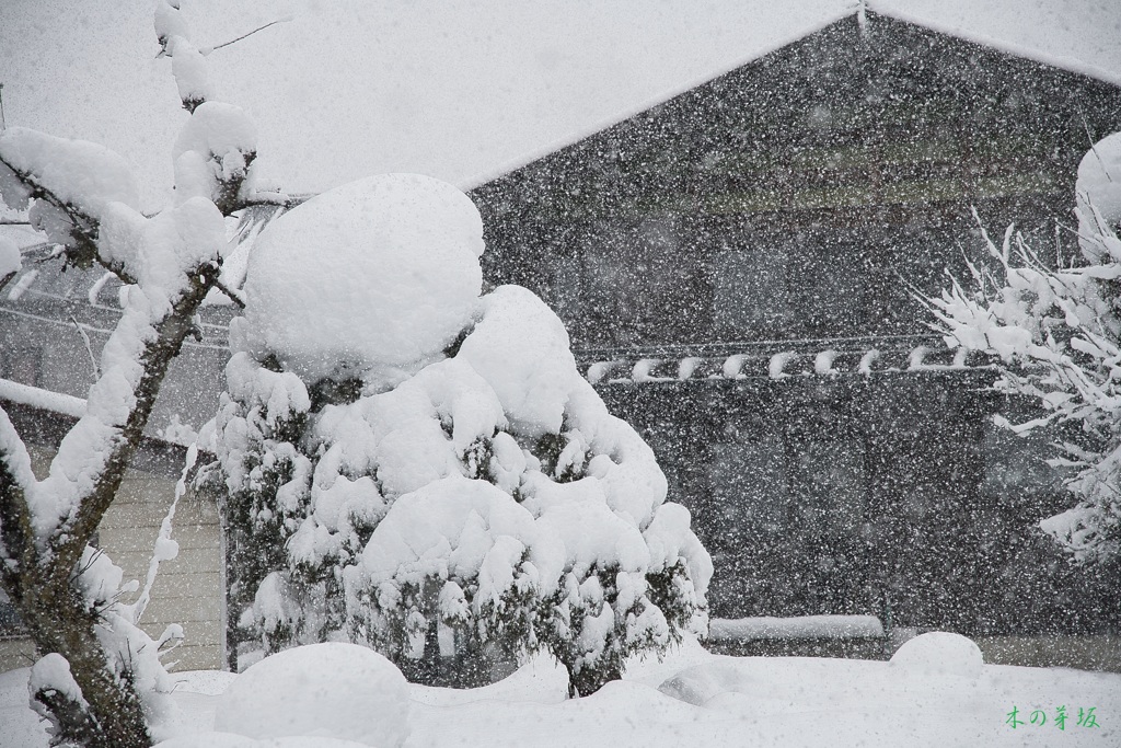 この日は大雪
