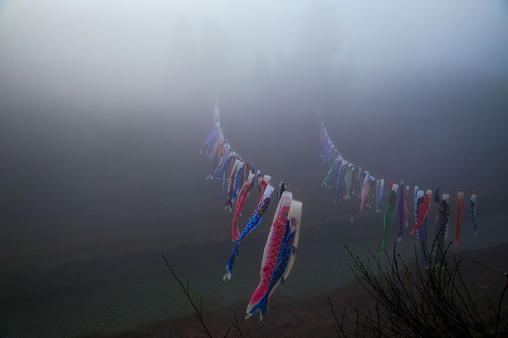 元気がない鯉のぼり