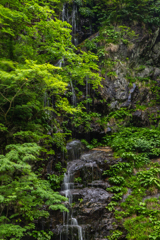 しょぼい滝