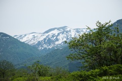 残雪