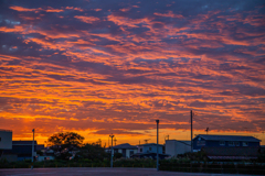 ついつい撮ってしまいます