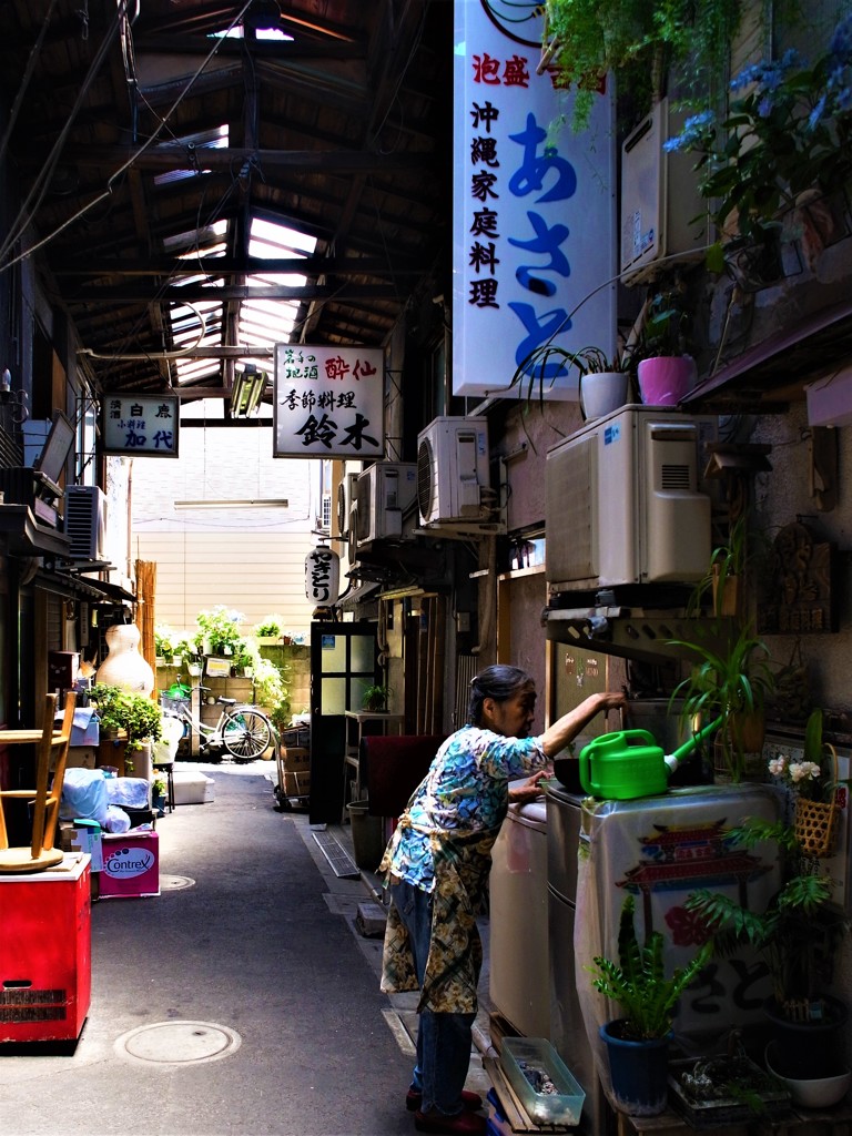 初音小路