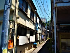谷中