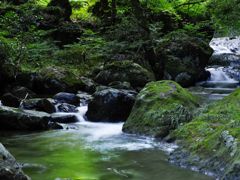 龍頭が滝