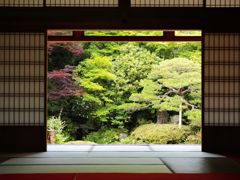 庭園