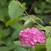 P6190038