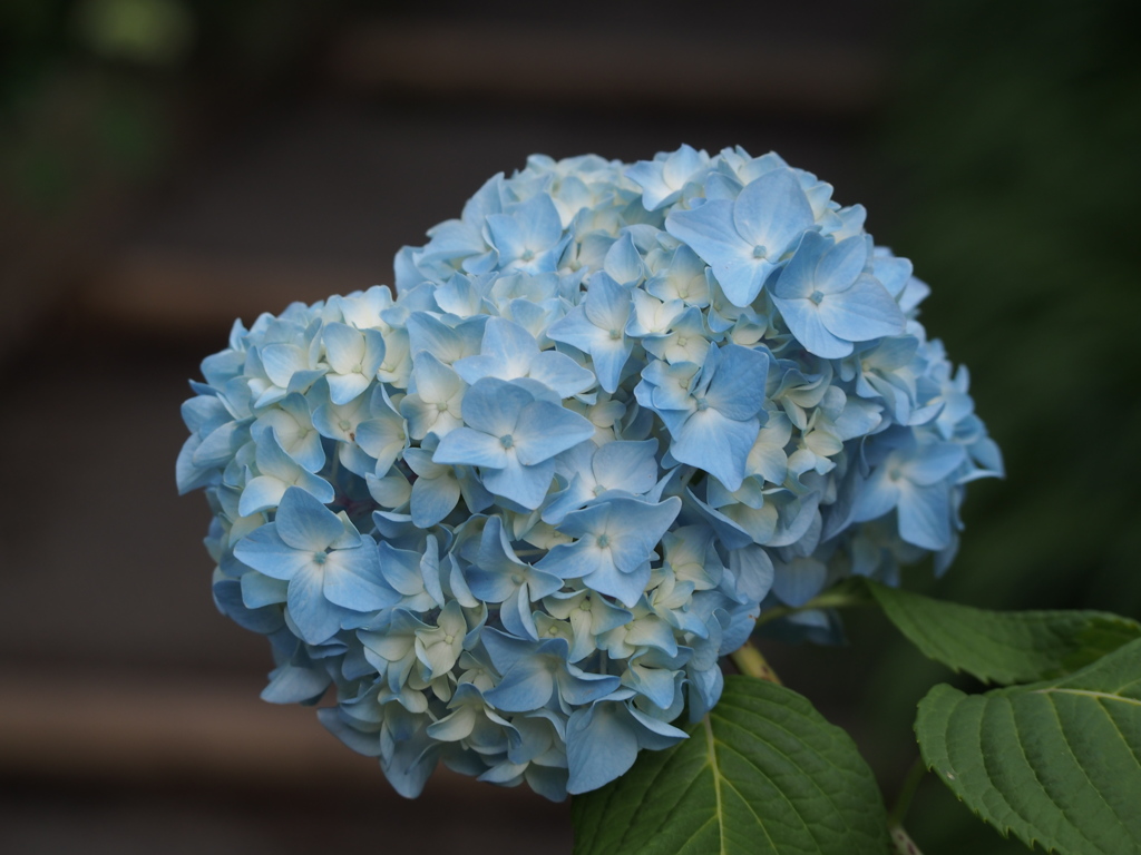 P5254713