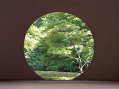P5254552