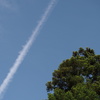 P5254738