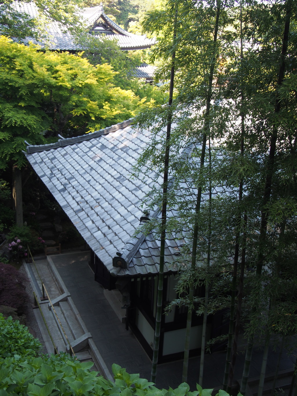 P5044639