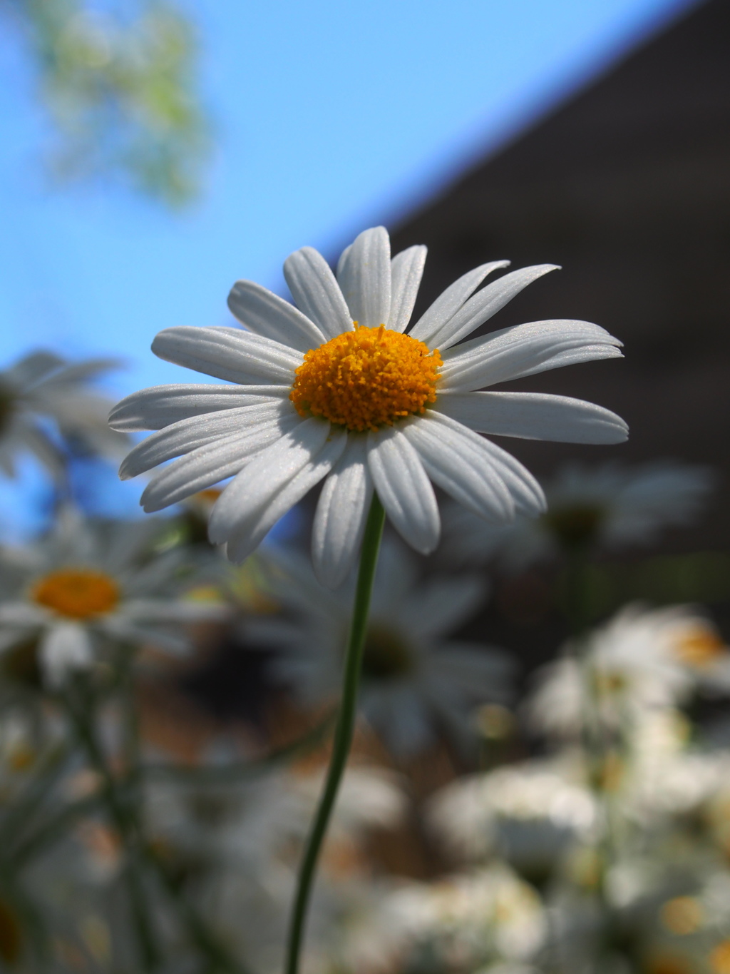 P5044601