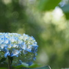 P5254598