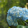 P5254687