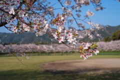 CA4D1CE5-A75A-4ADC-91A5-67D08053D5F2