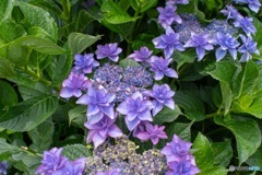 9AC54D65-4198-469C-A4AC-7014DDF013E1