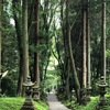 上色見熊野座神社