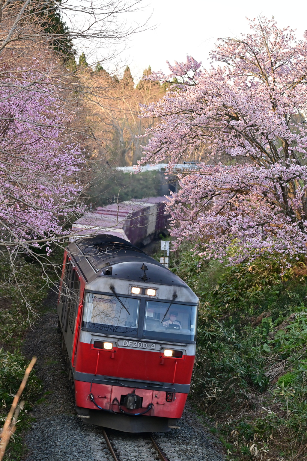 藤城線 3057レ 4月24日
